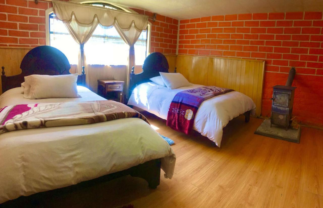 Guest house Alpaka