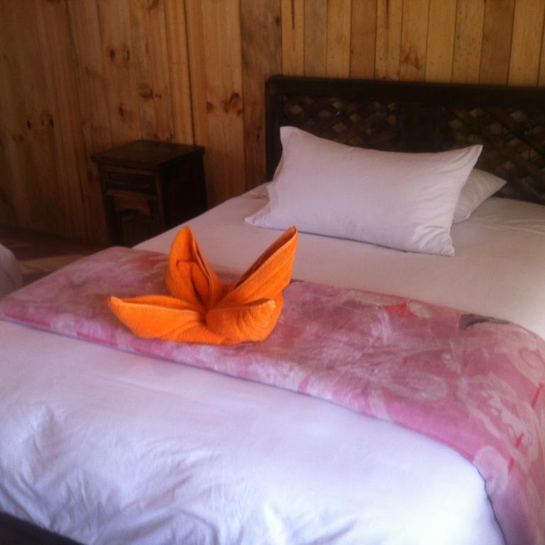 Alpaka 2* Quilotoa