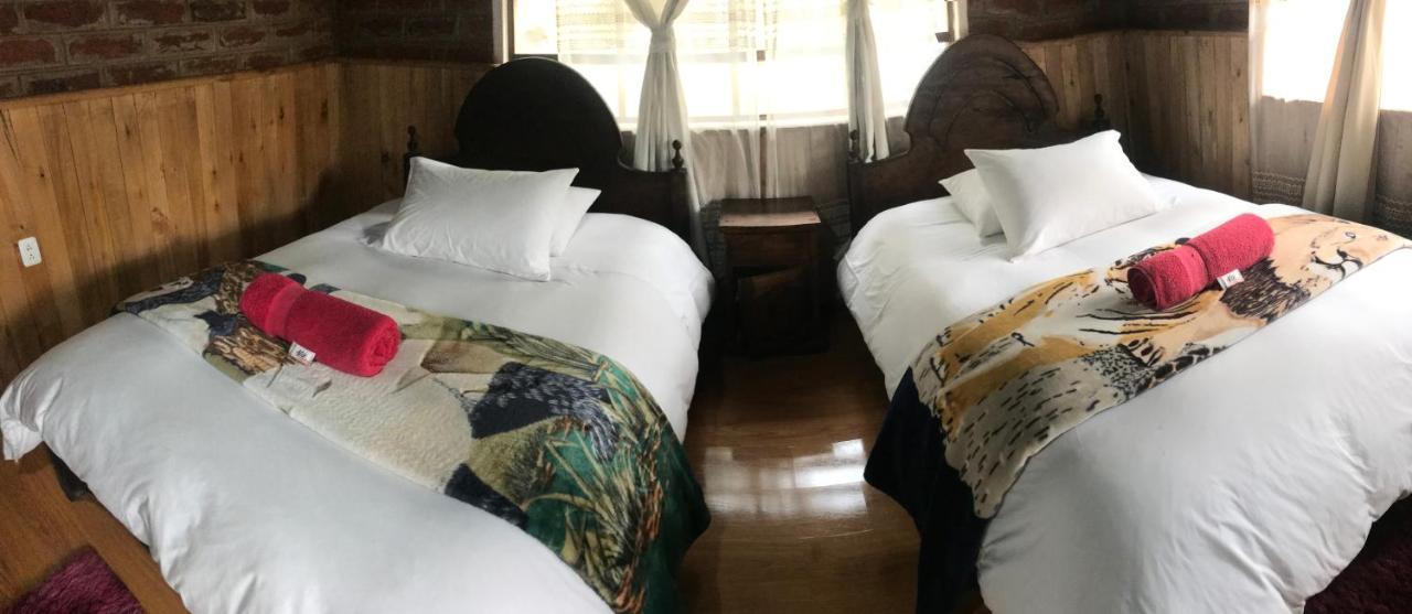 Alpaka Guest house